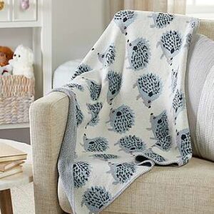 Hedgehog Rain-Milk Blanket - FedEx