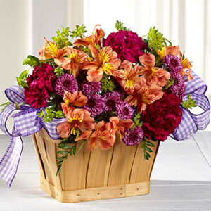 New Dream Basket